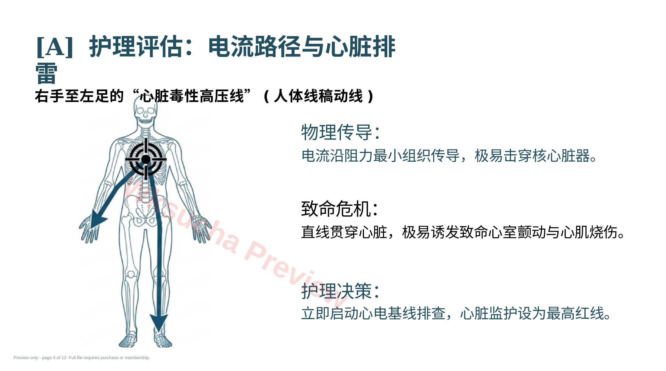 预览第 5 页