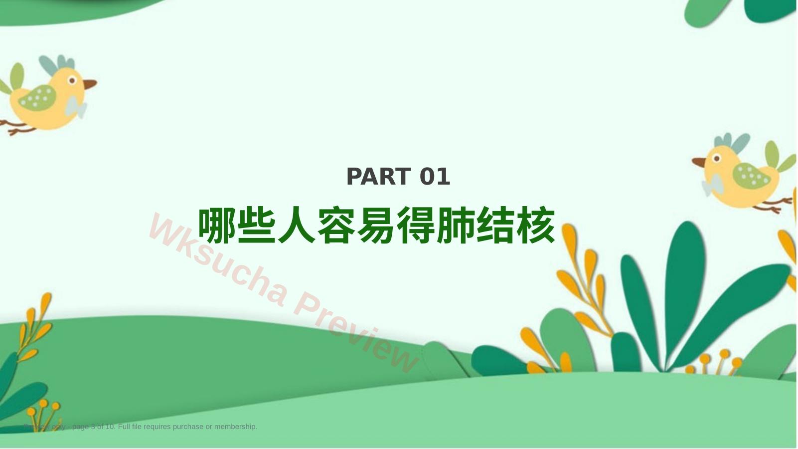 预览第 3 页