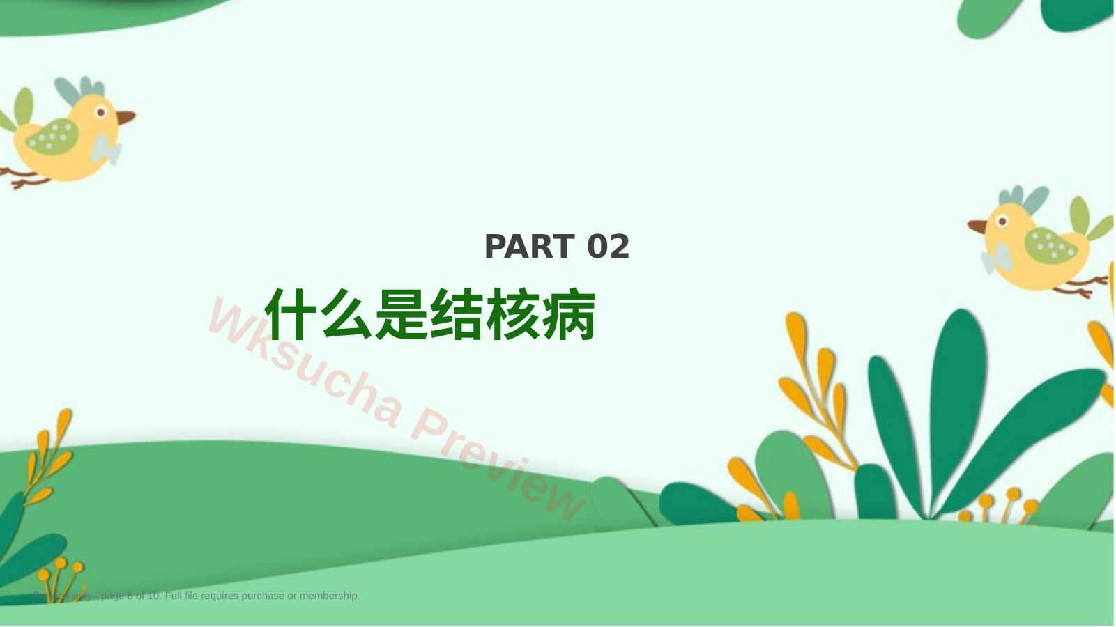 预览第 8 页