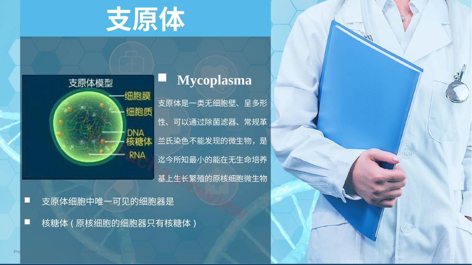 预览第 2 页