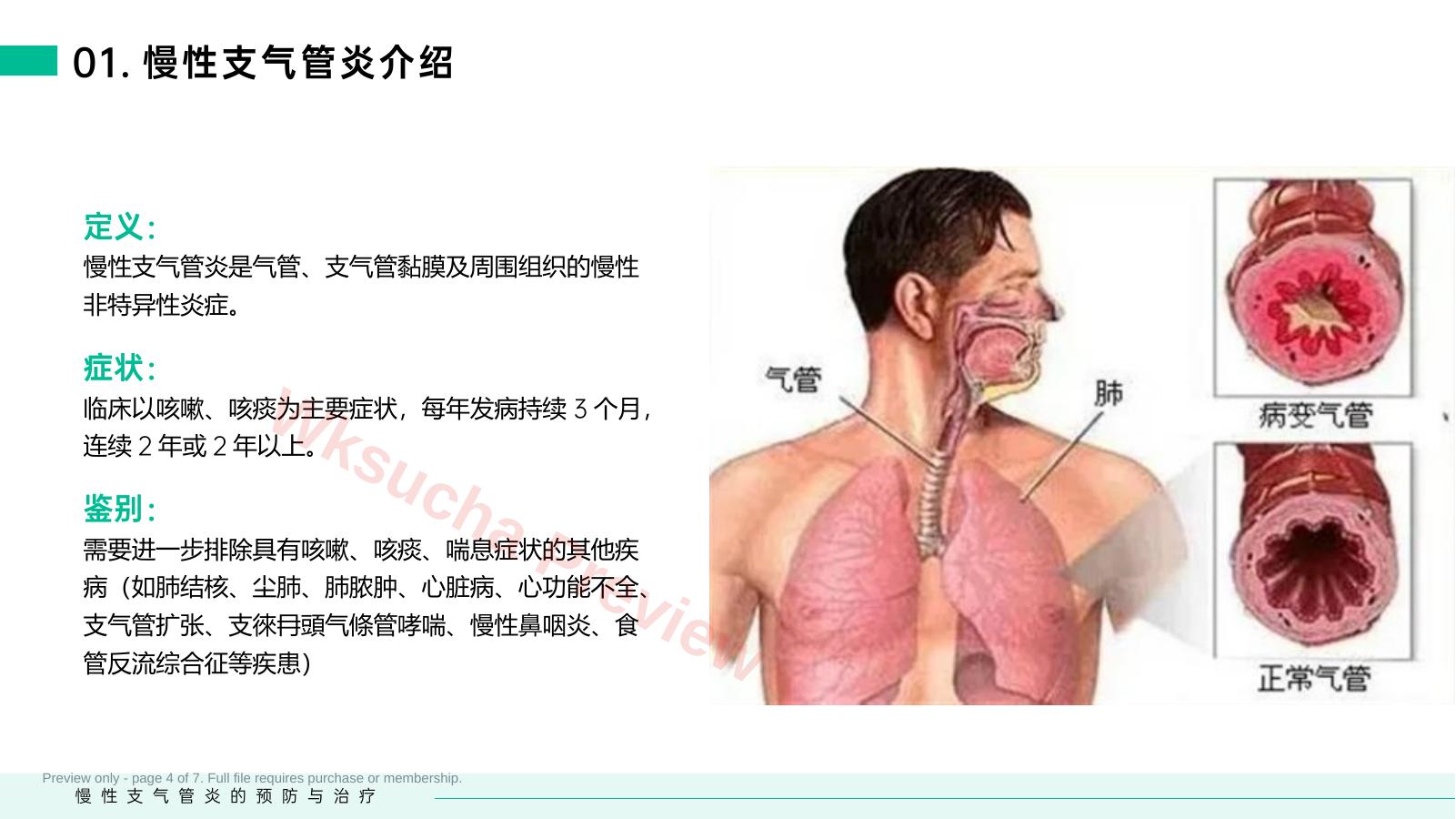 预览第 4 页