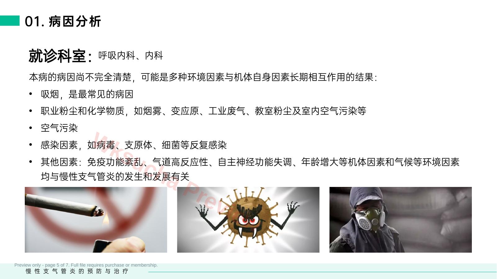 预览第 5 页