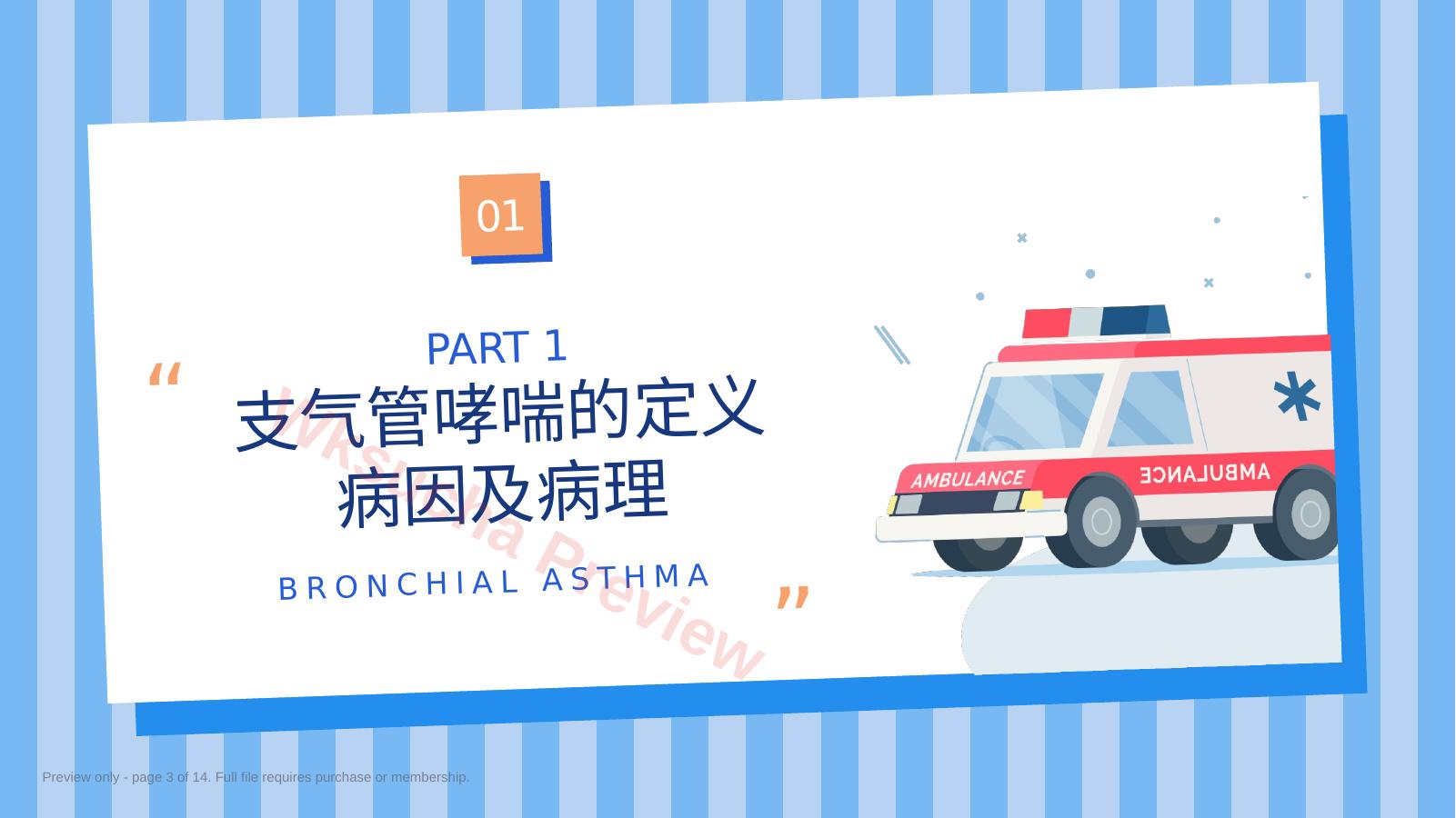 预览第 3 页