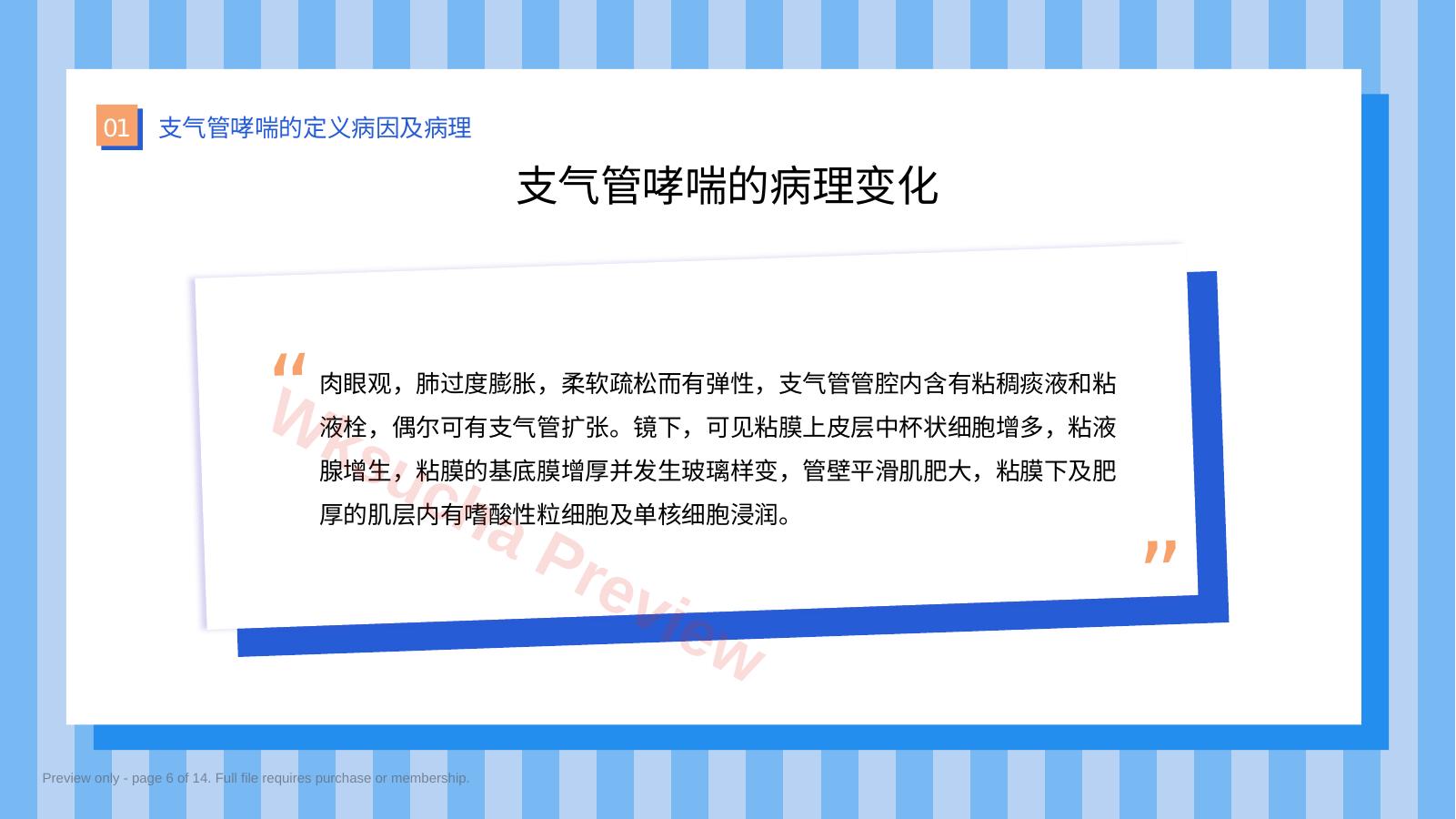 预览第 6 页