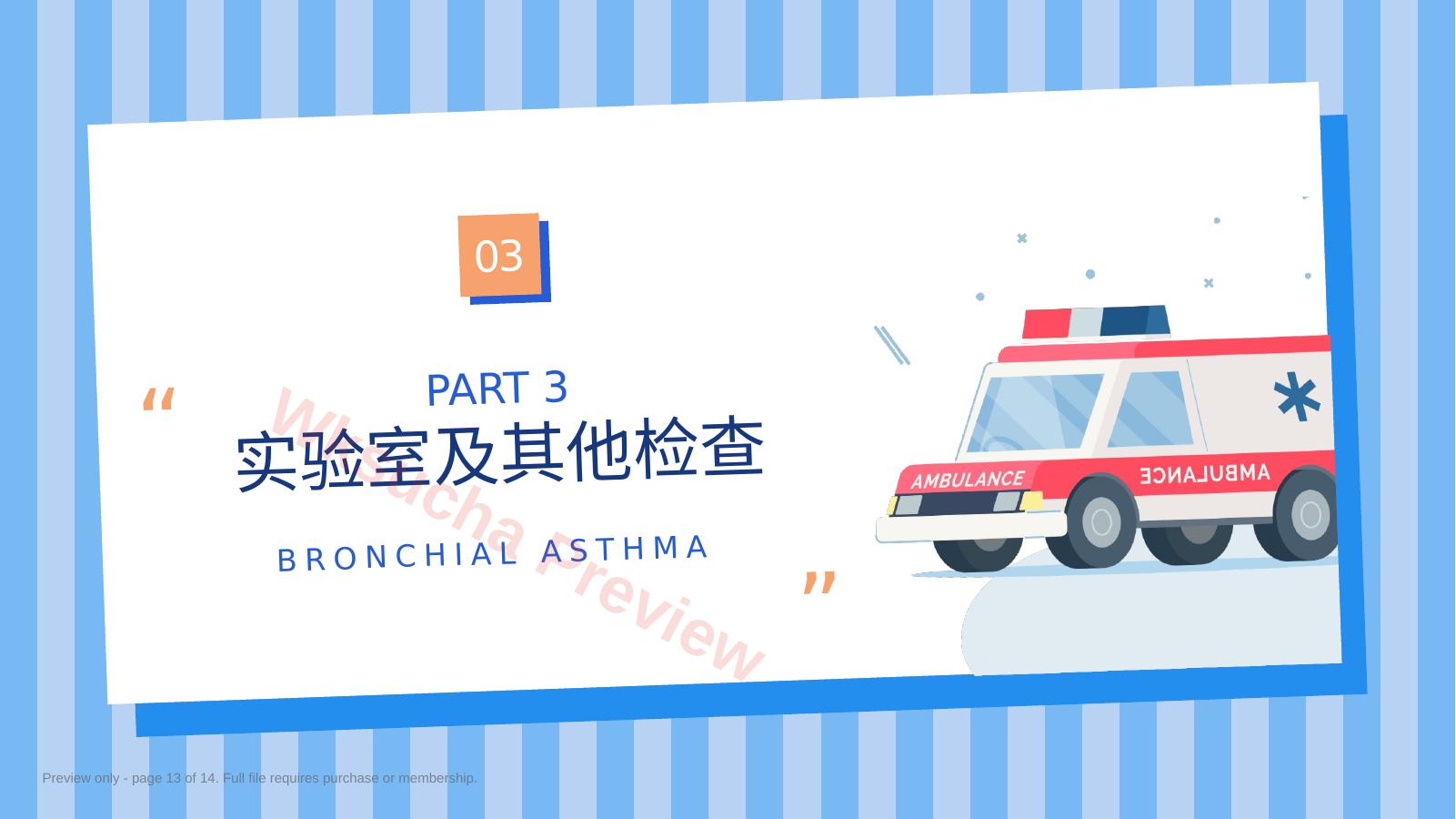 预览第 13 页