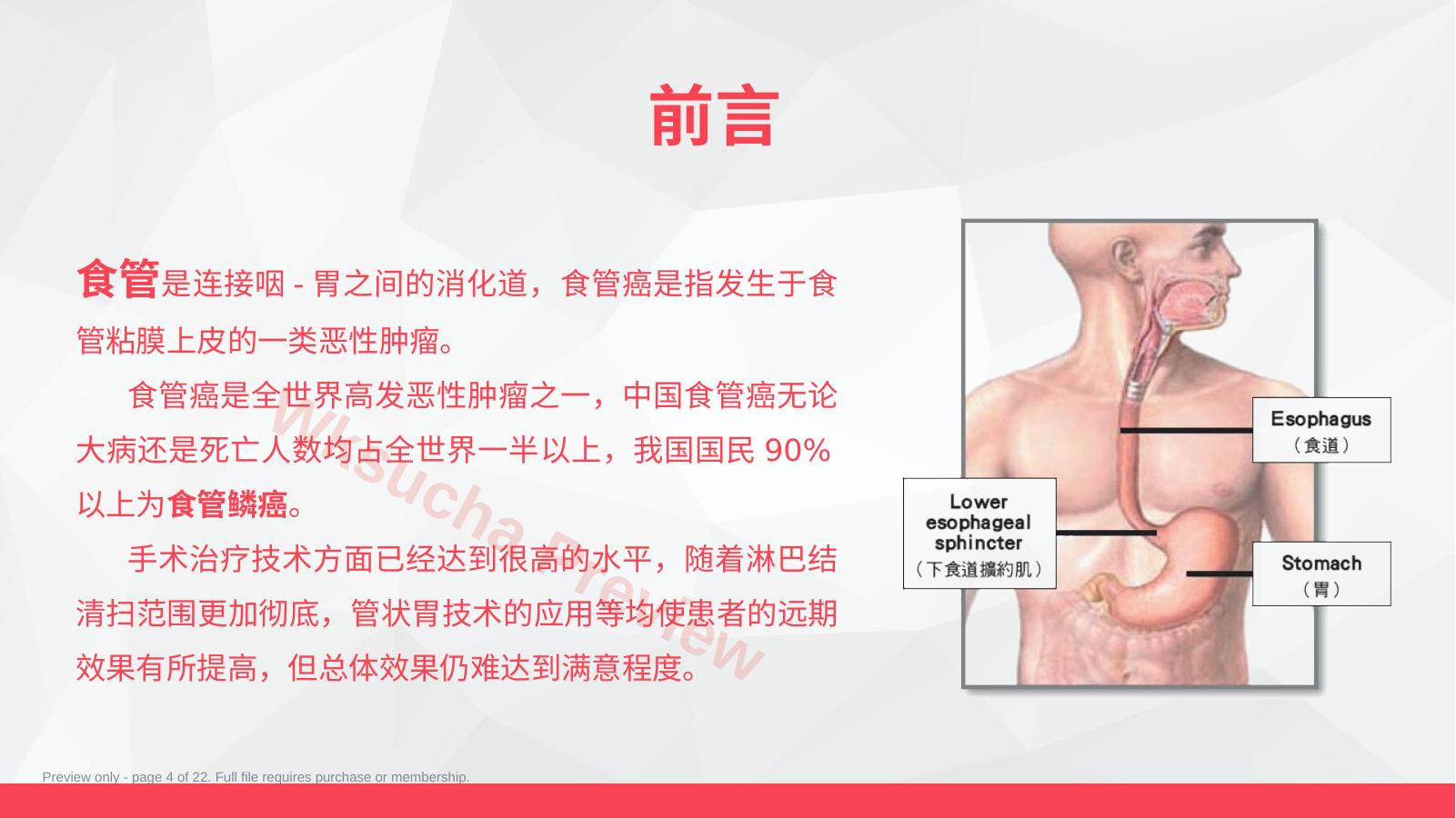 预览第 4 页