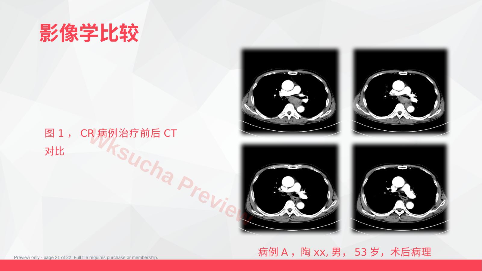 预览第 21 页