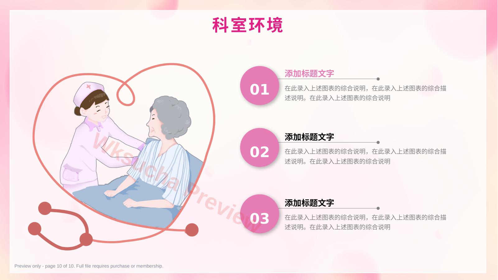 预览第 10 页