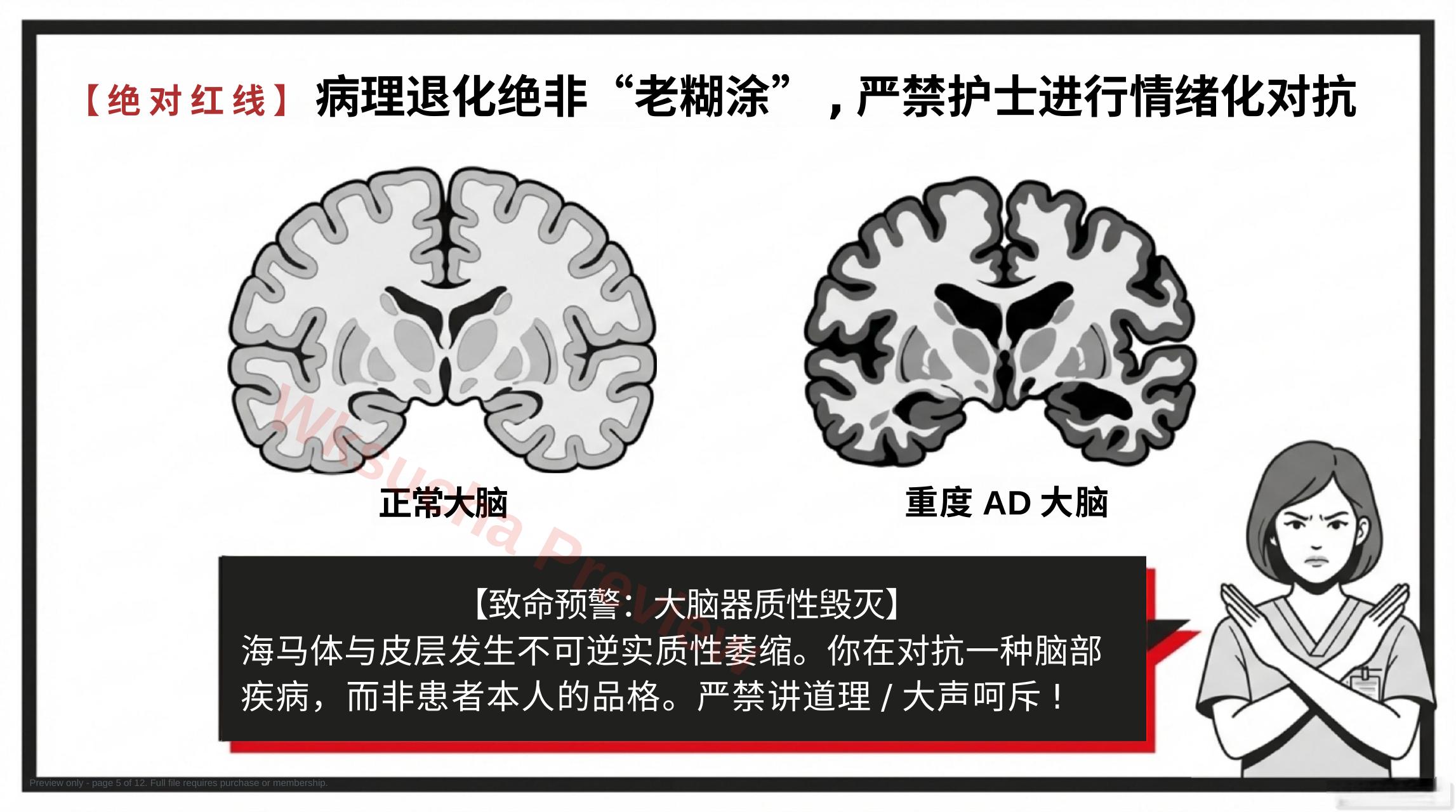 预览第 5 页