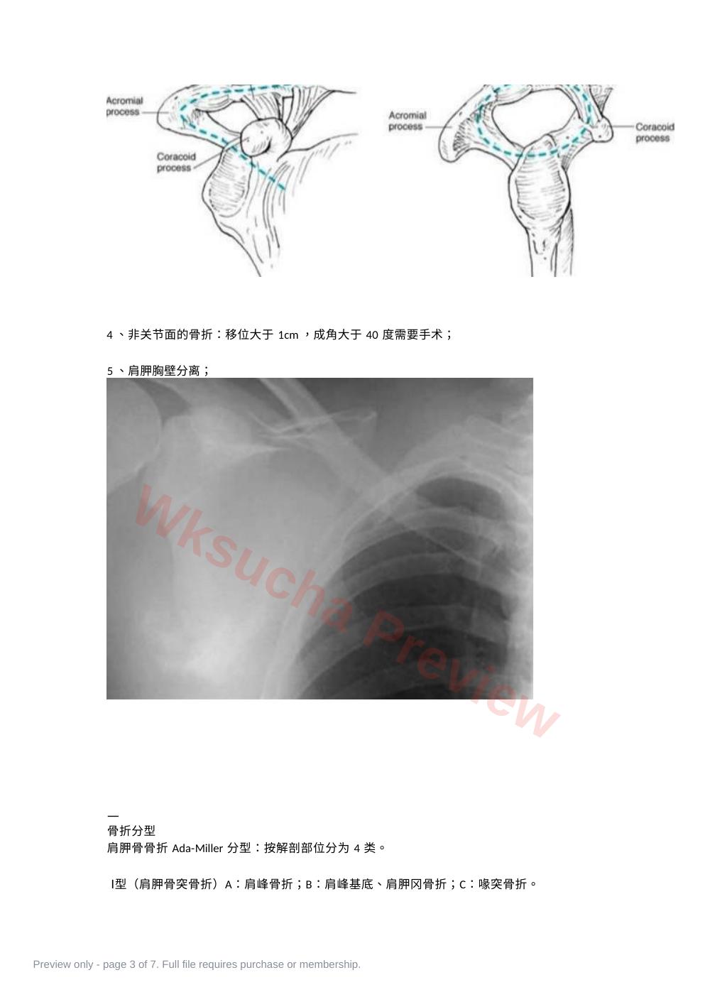 预览第 3 页
