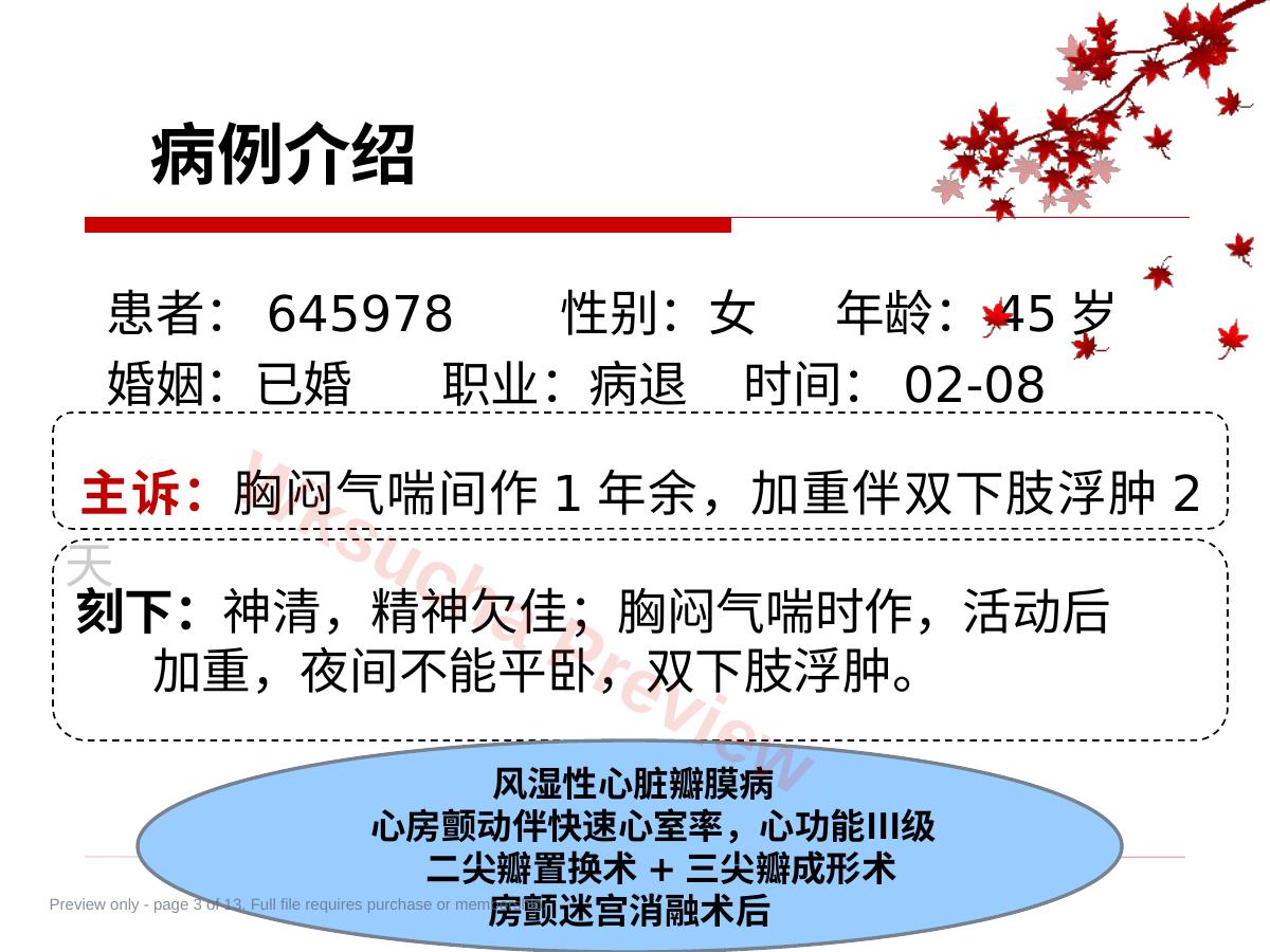 预览第 3 页