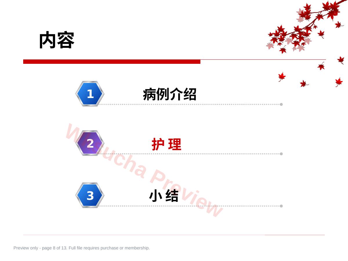 预览第 8 页