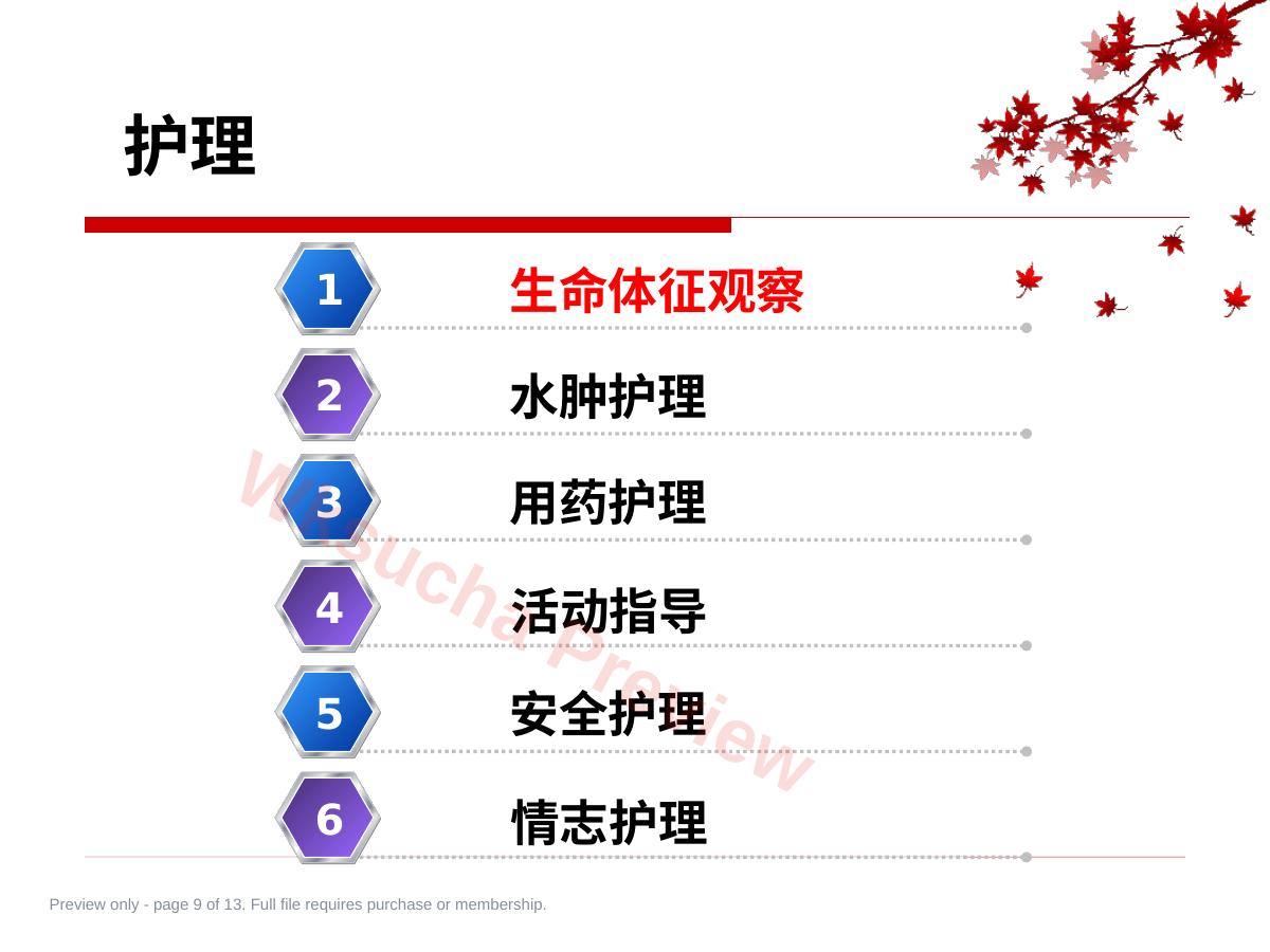 预览第 9 页