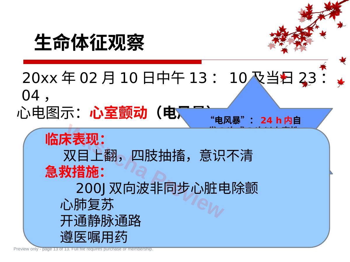 预览第 13 页