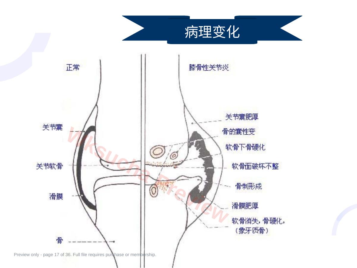 预览第 17 页