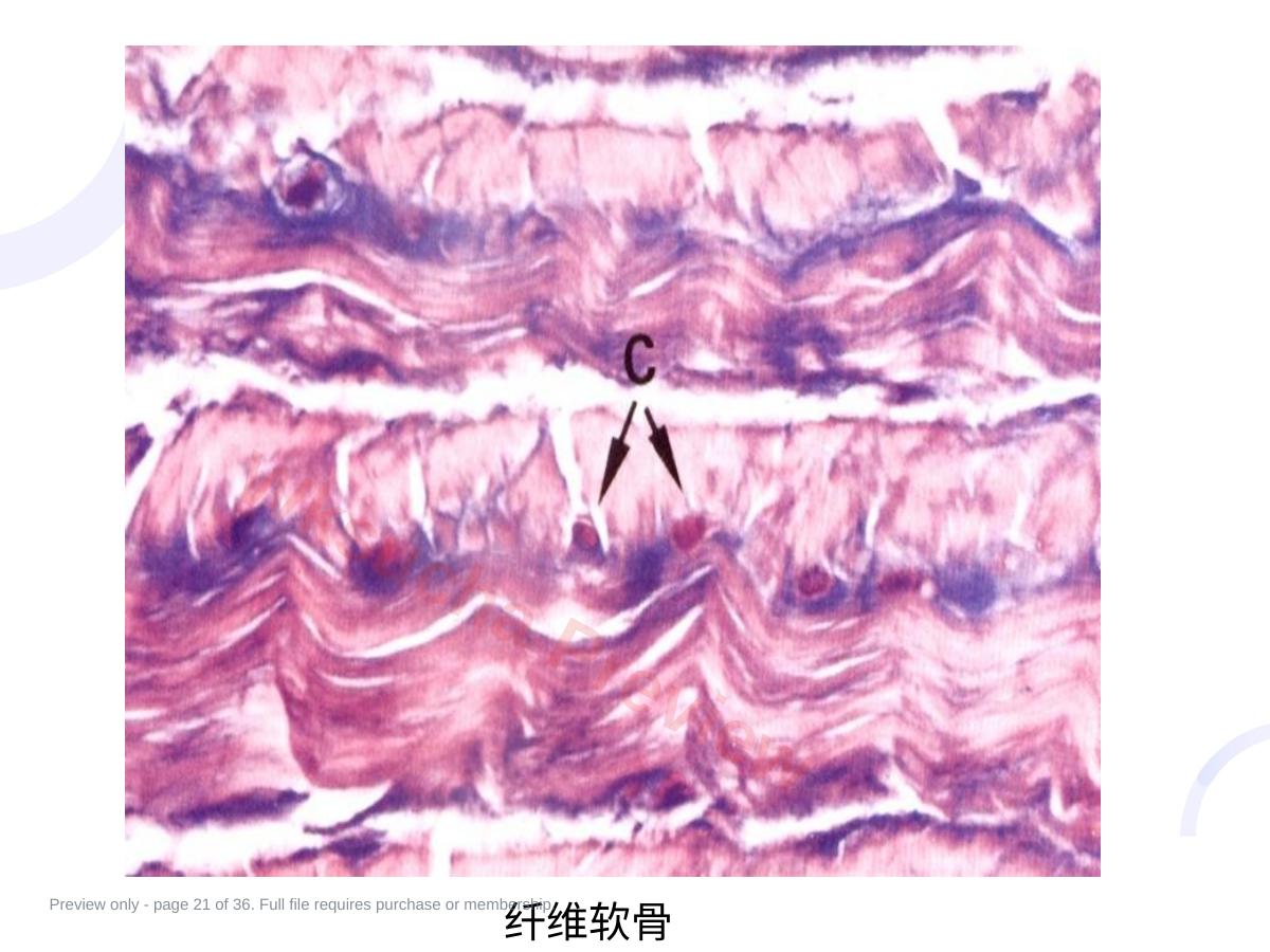 预览第 21 页