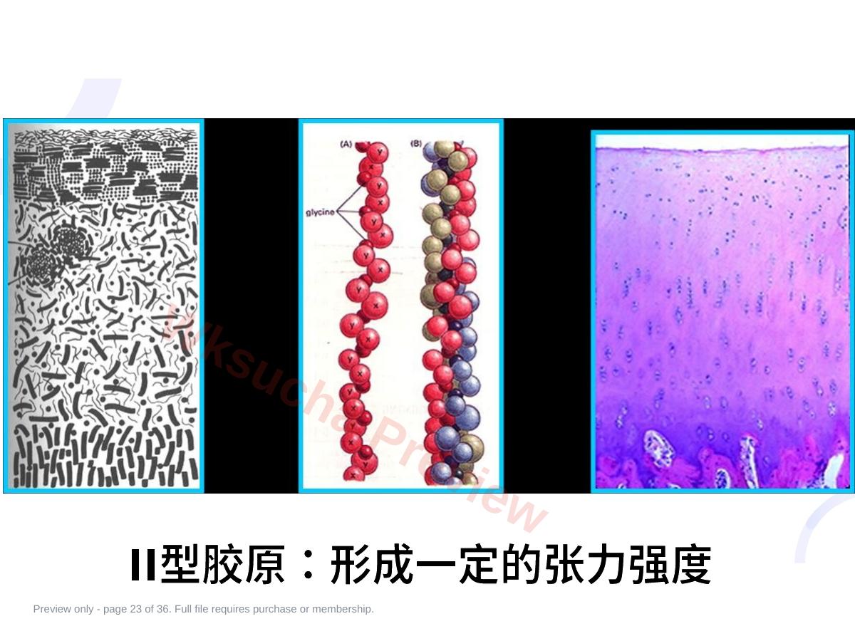 预览第 23 页