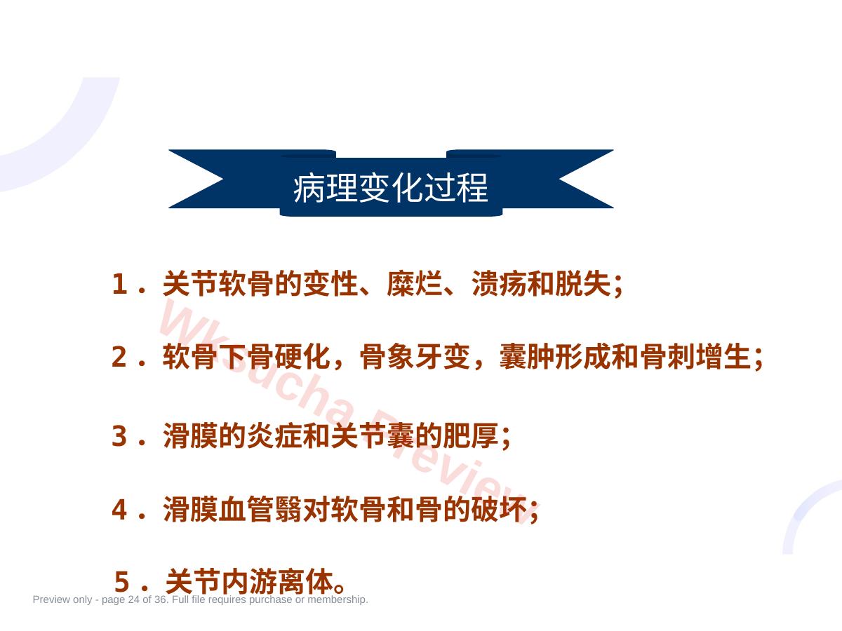 预览第 24 页