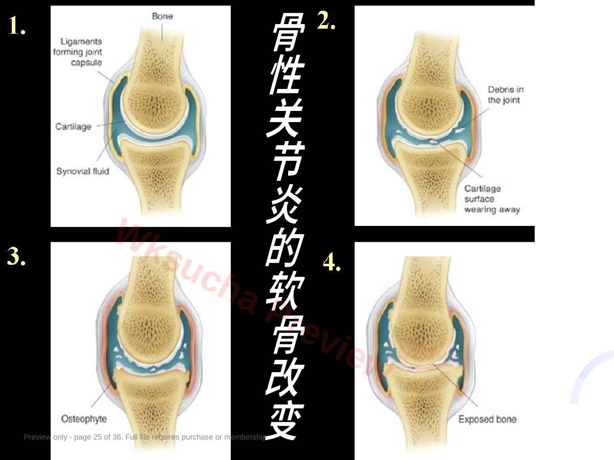 预览第 25 页