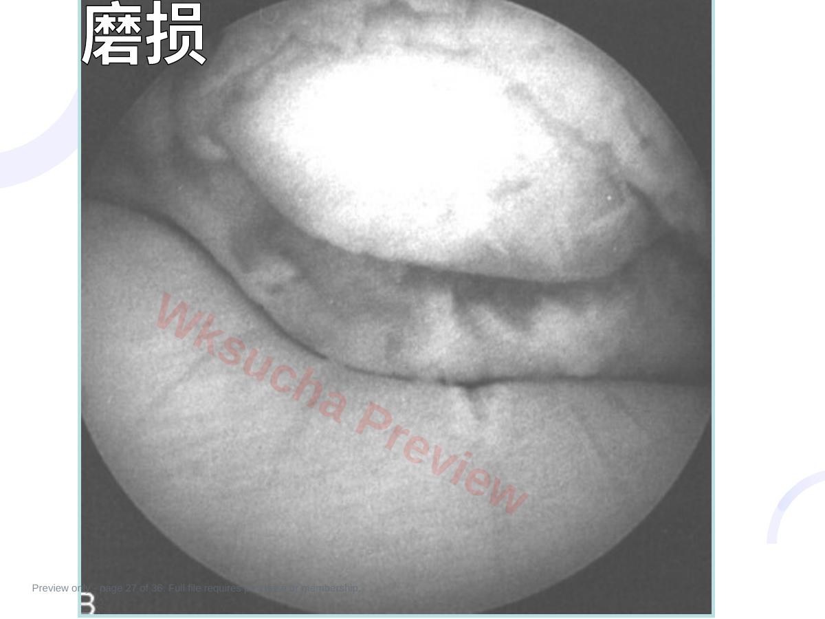 预览第 27 页
