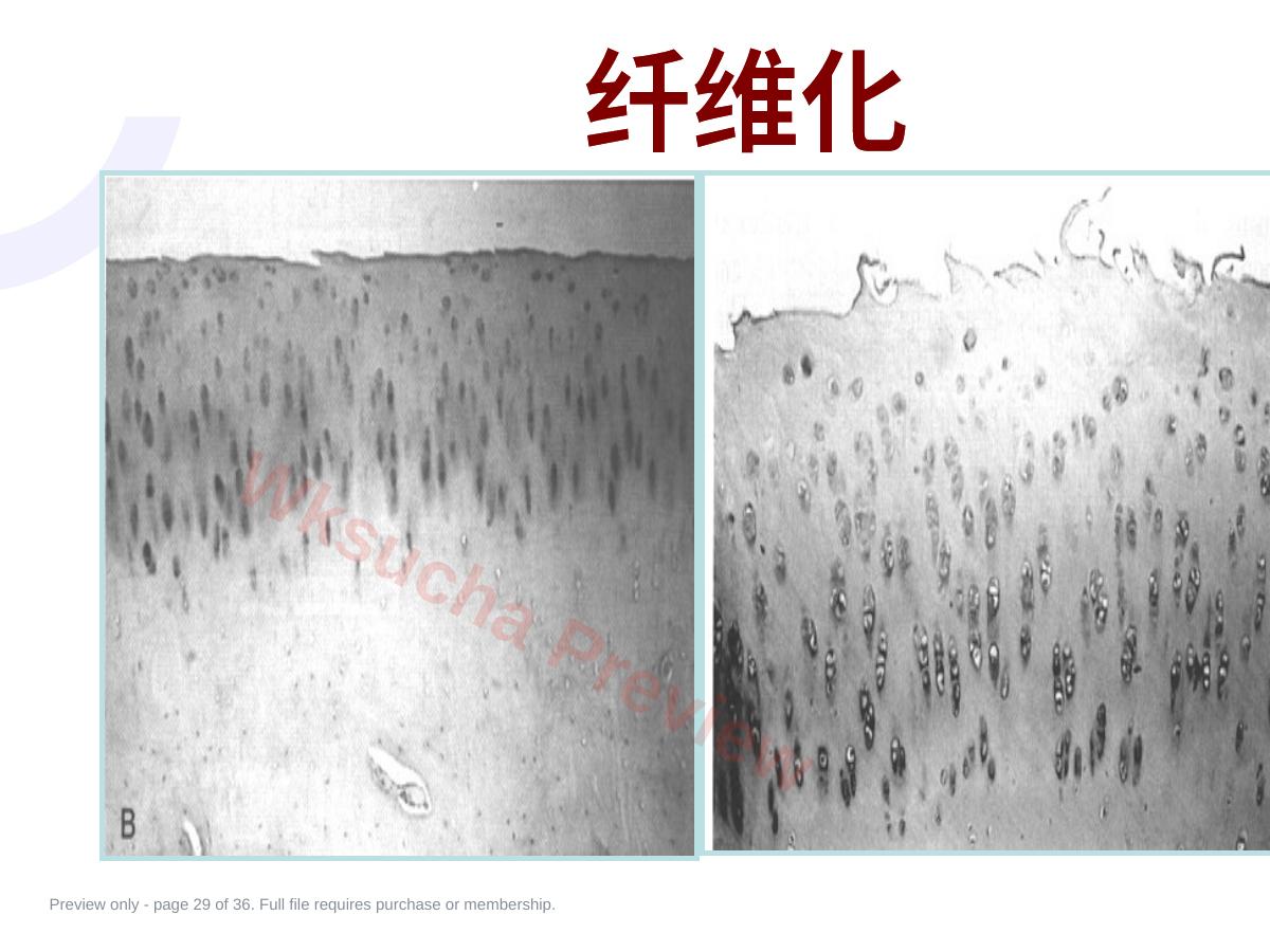 预览第 29 页