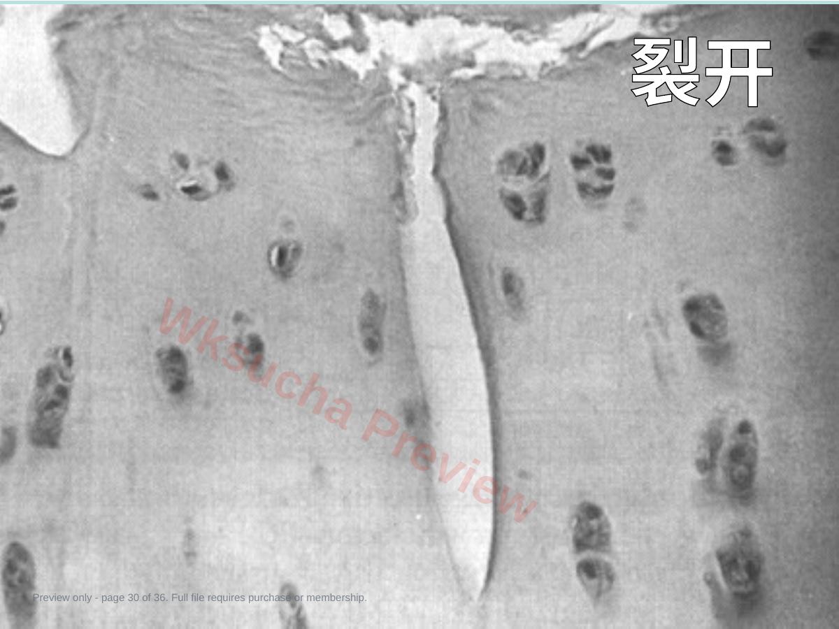 预览第 30 页