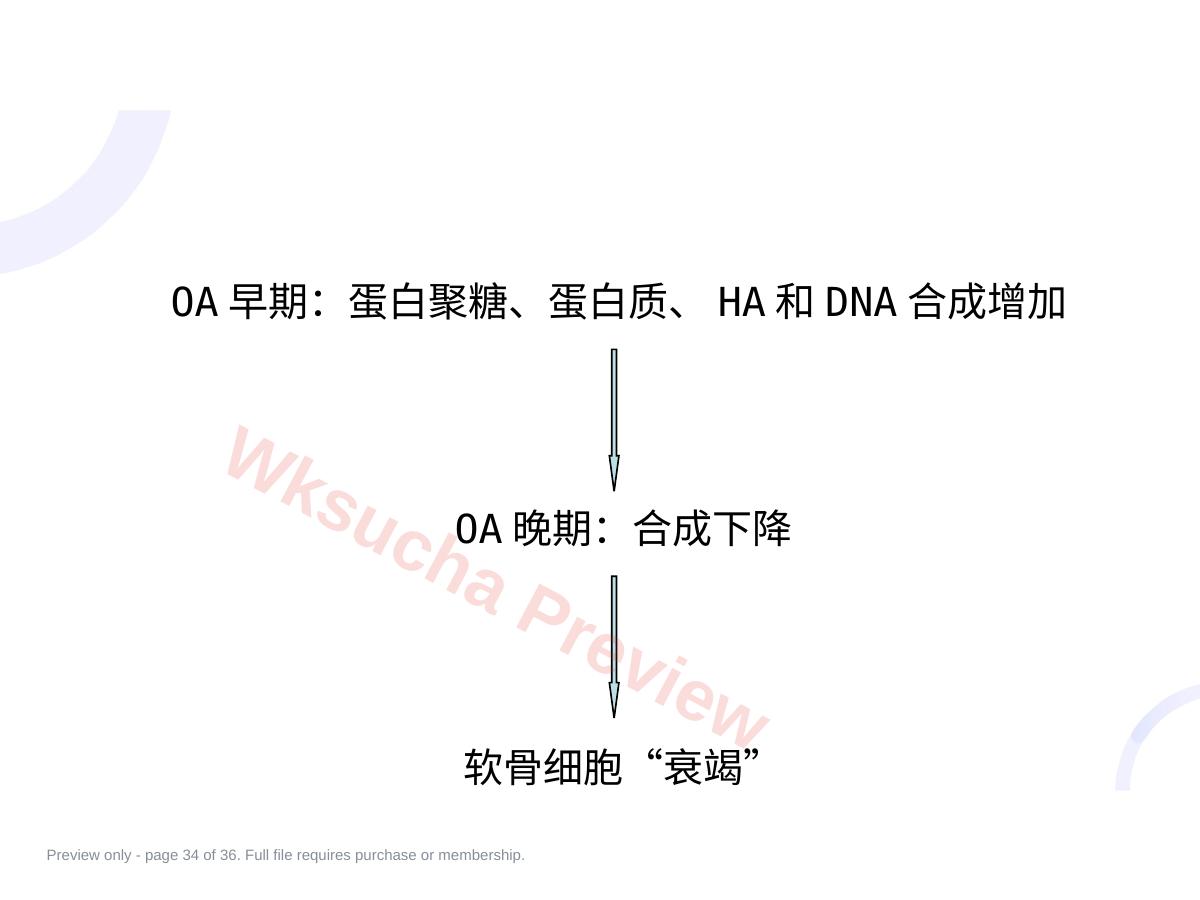 预览第 34 页
