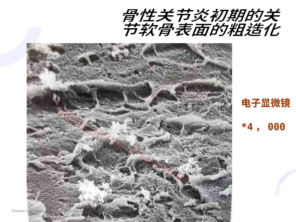 预览第 35 页