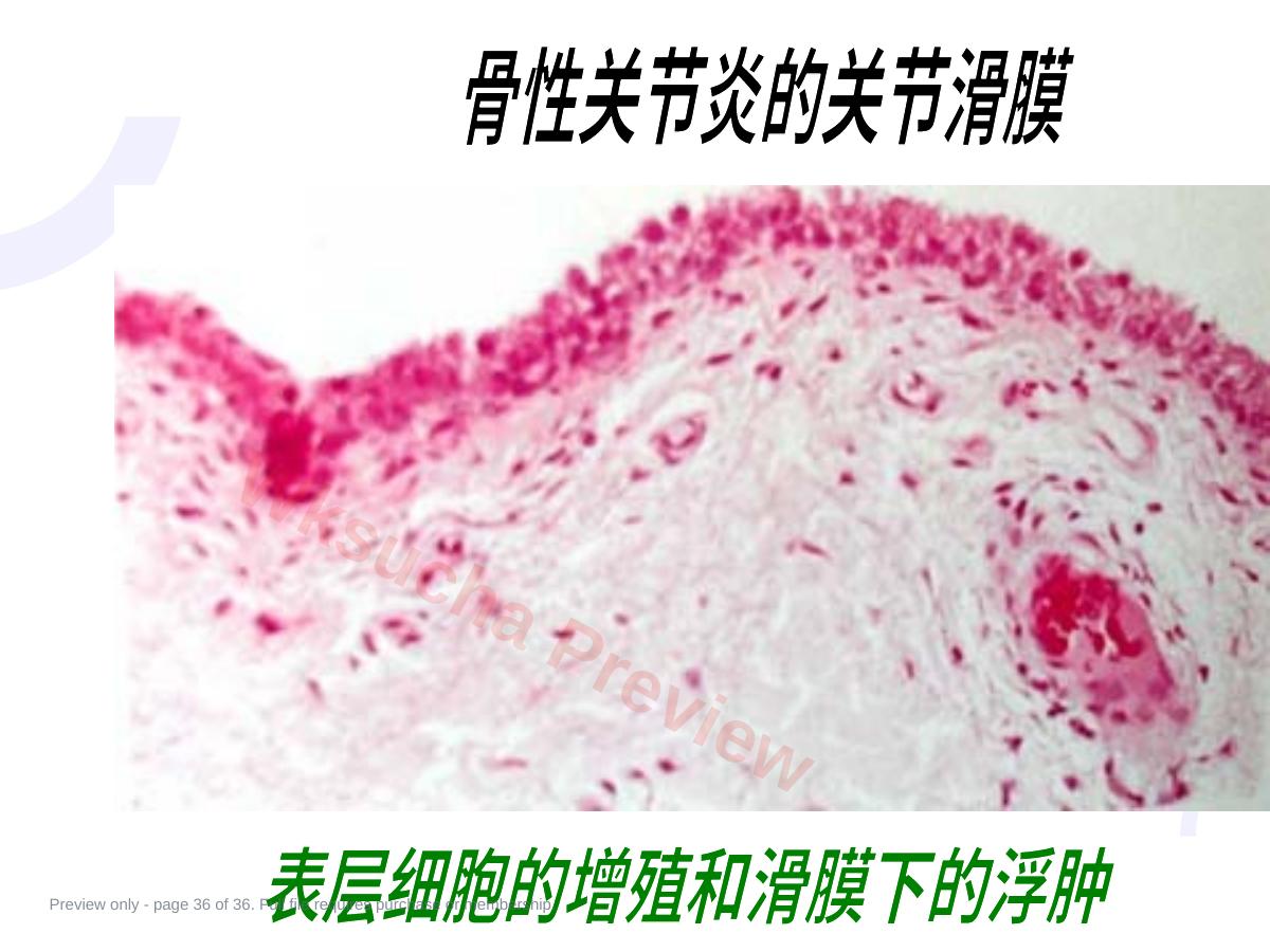预览第 36 页