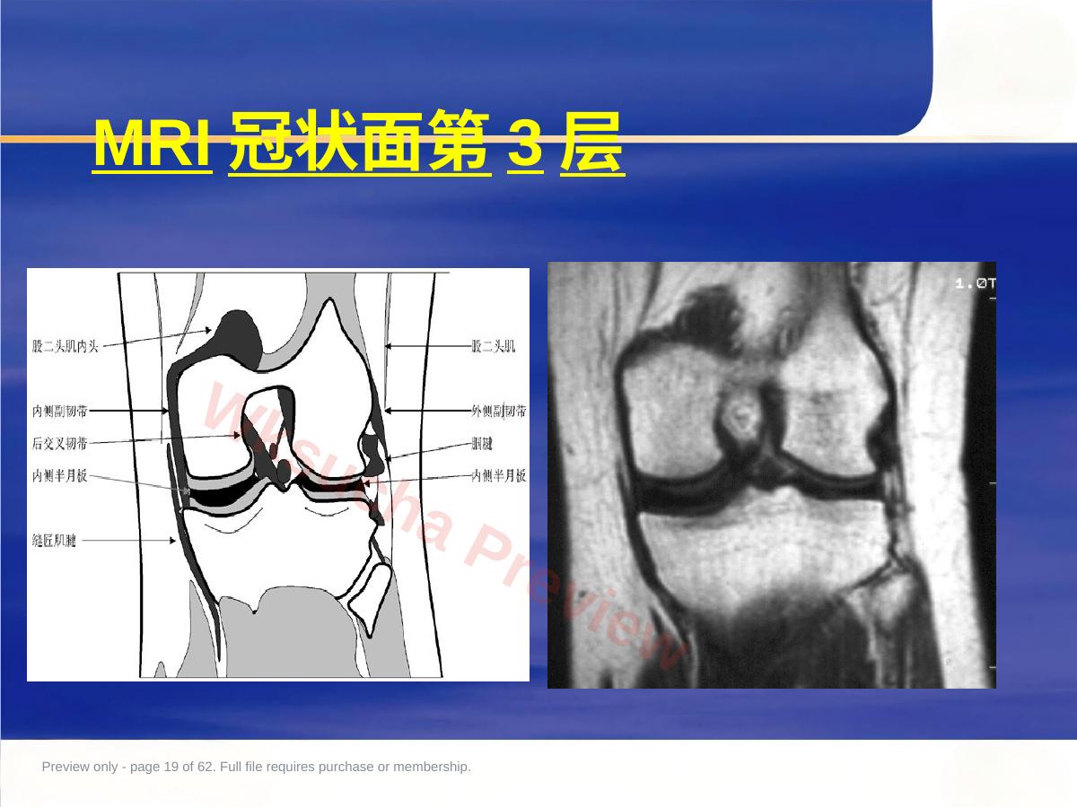预览第 19 页
