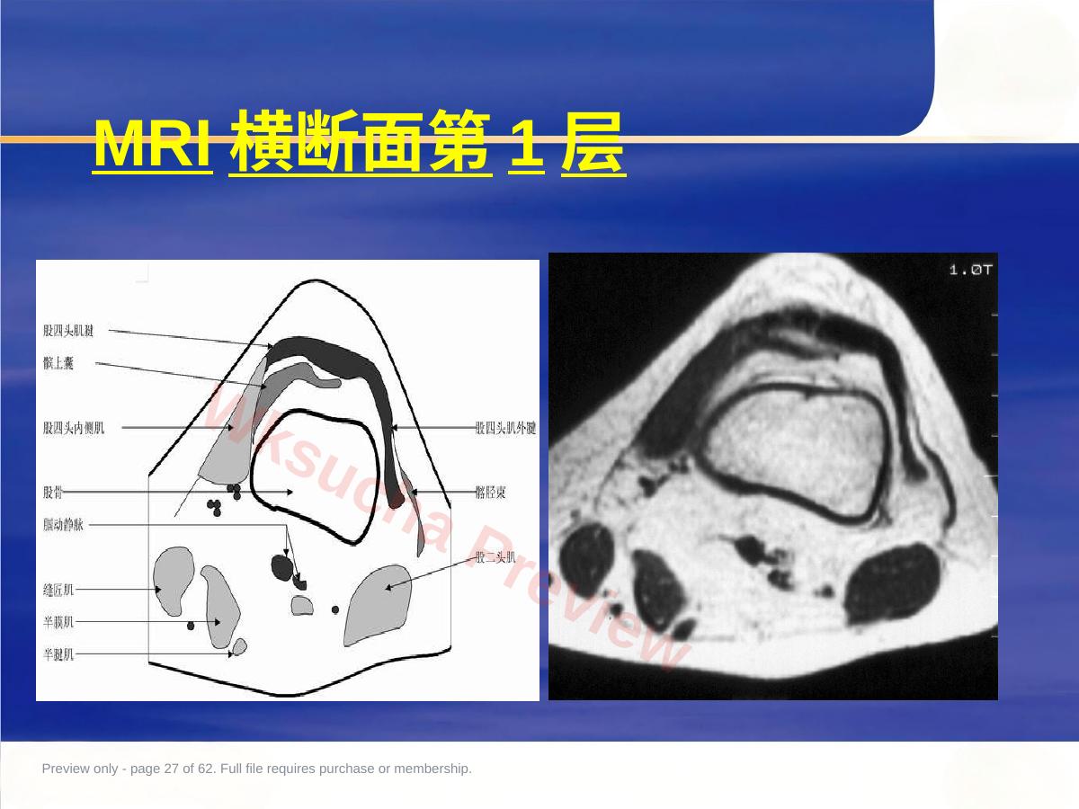 预览第 27 页