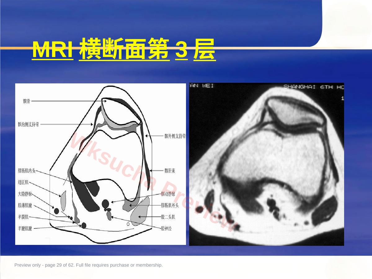 预览第 29 页