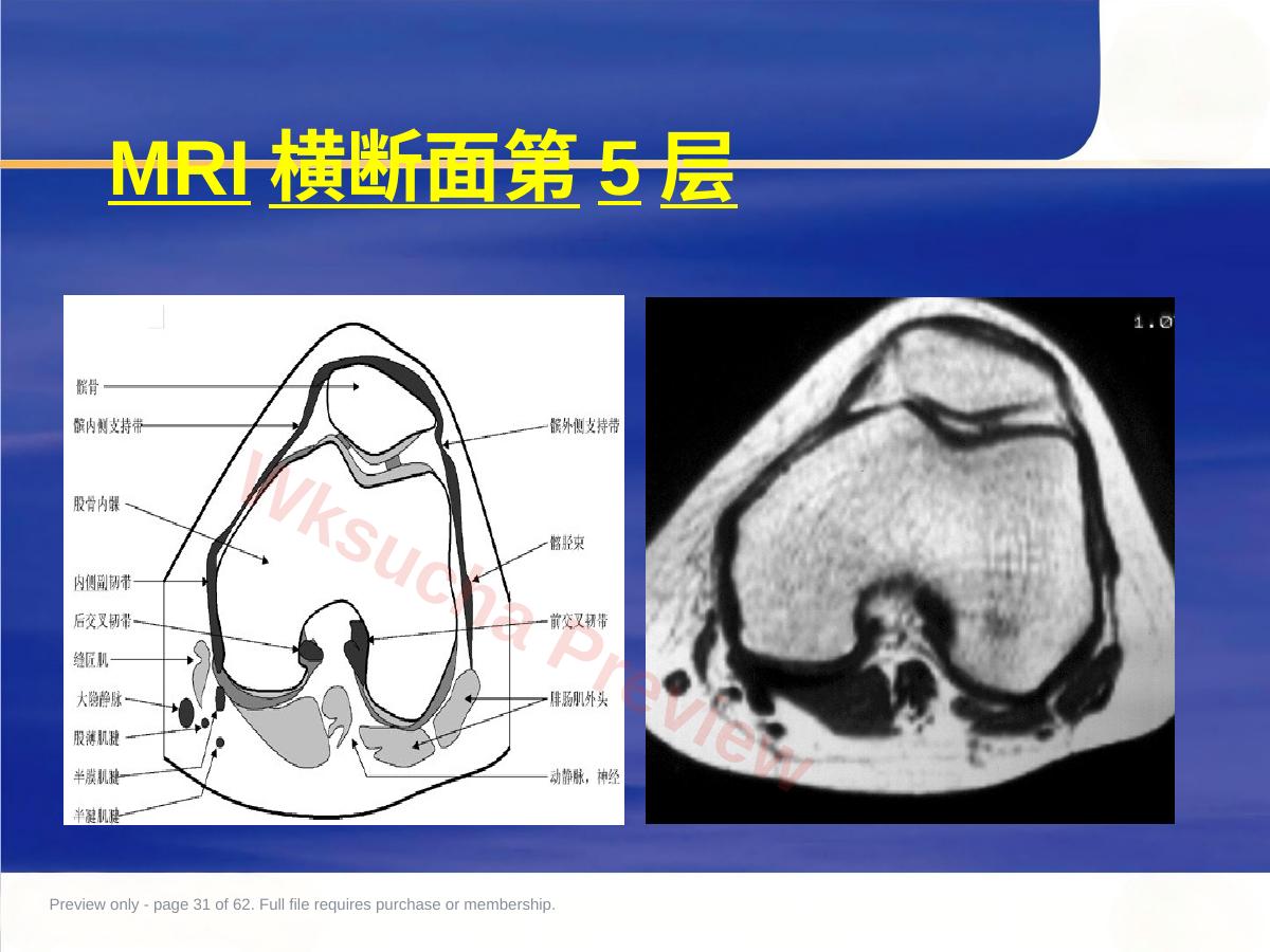 预览第 31 页