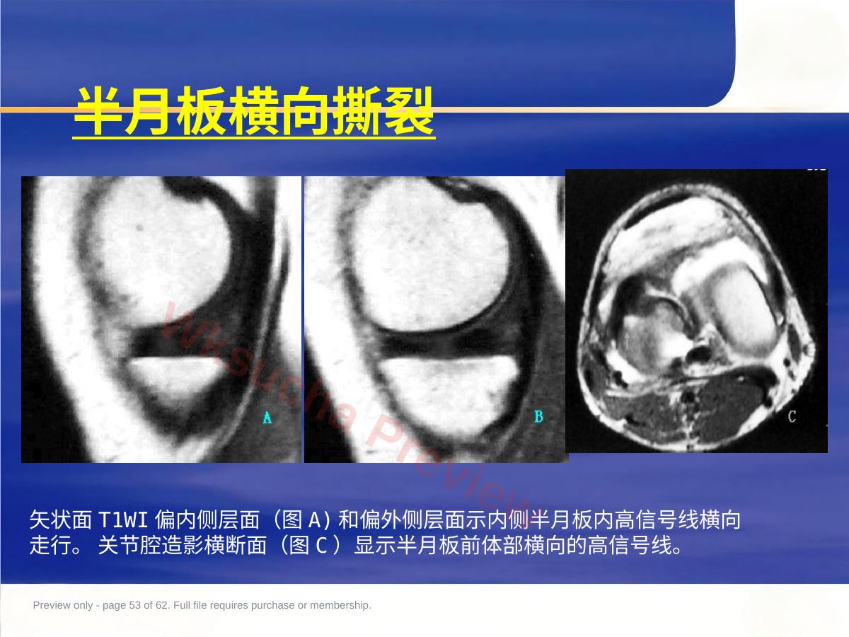 预览第 53 页