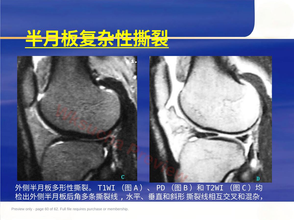 预览第 60 页