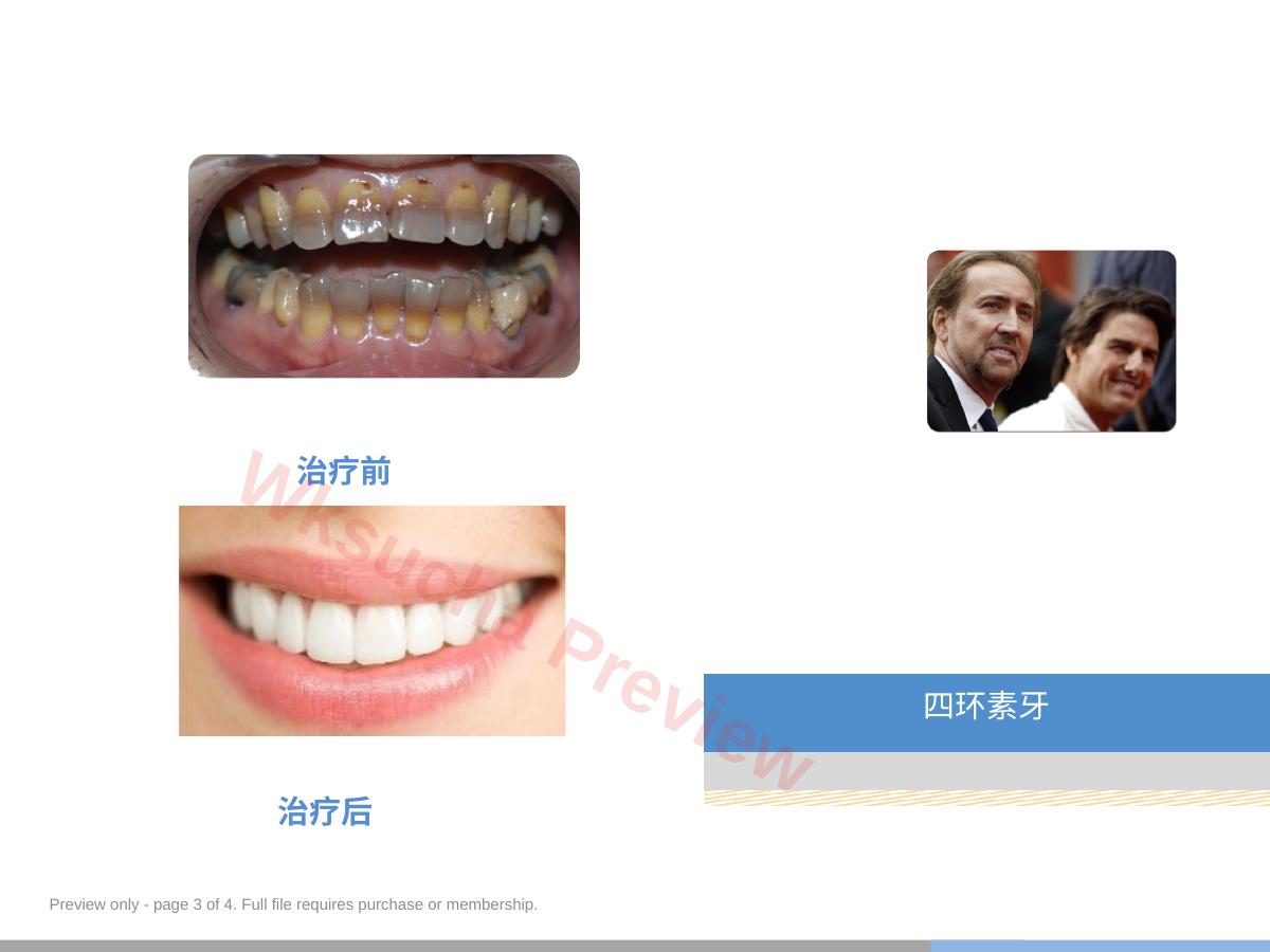 预览第 3 页