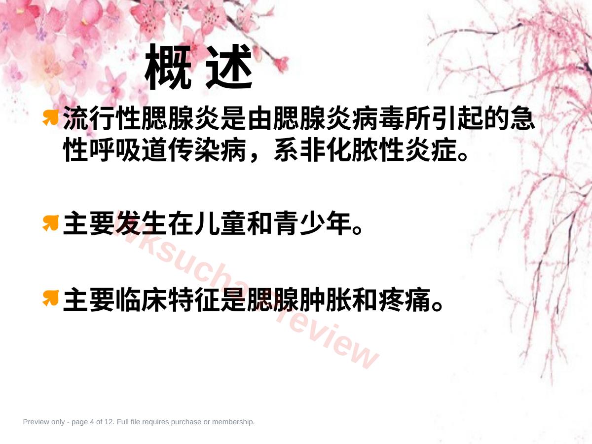 预览第 4 页