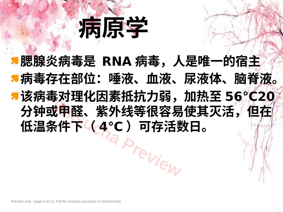 预览第 5 页