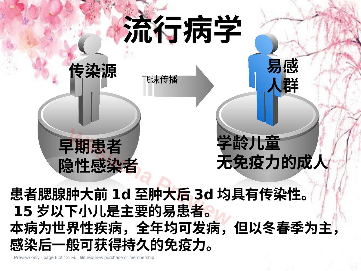 预览第 6 页