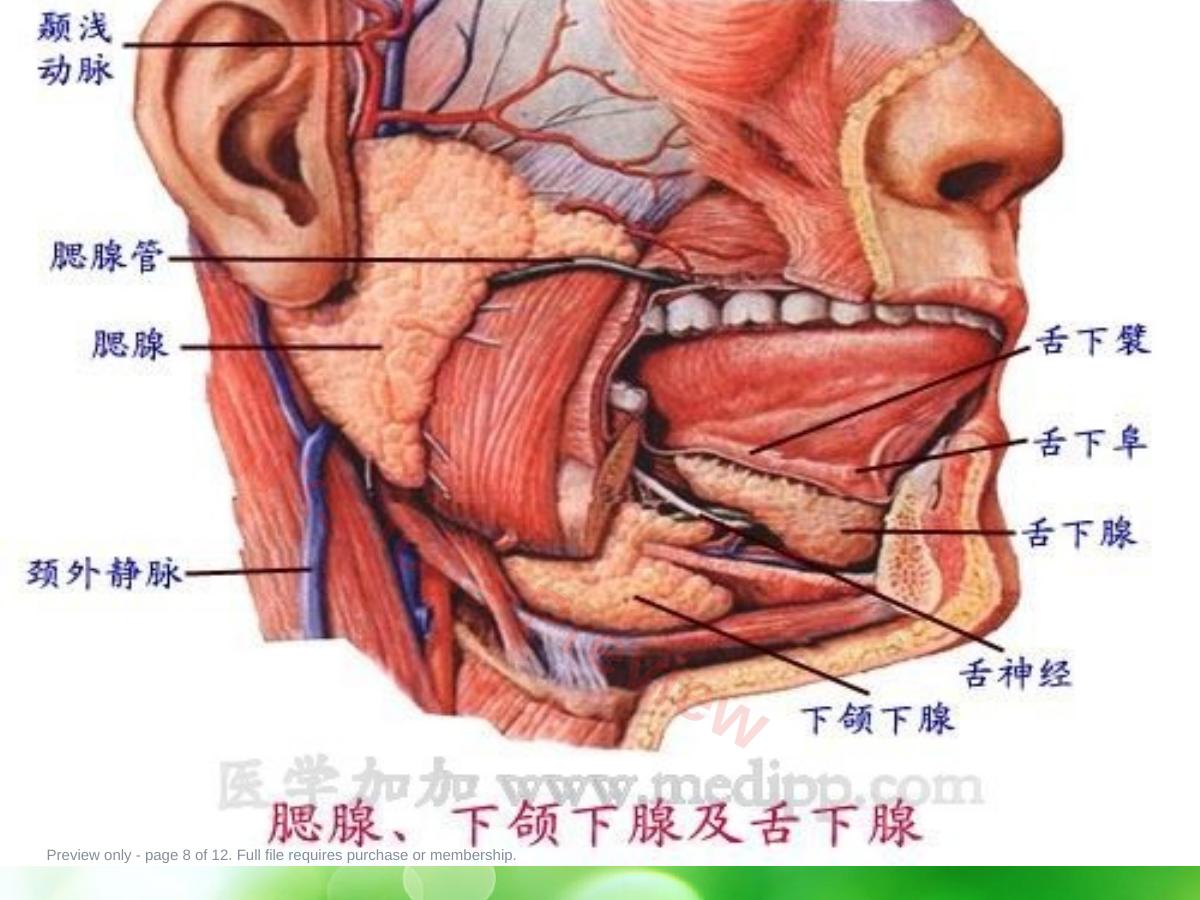预览第 8 页