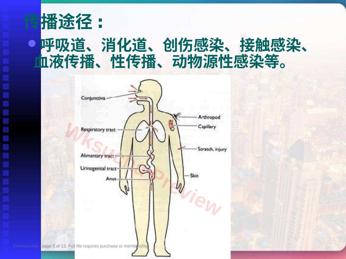 预览第 5 页