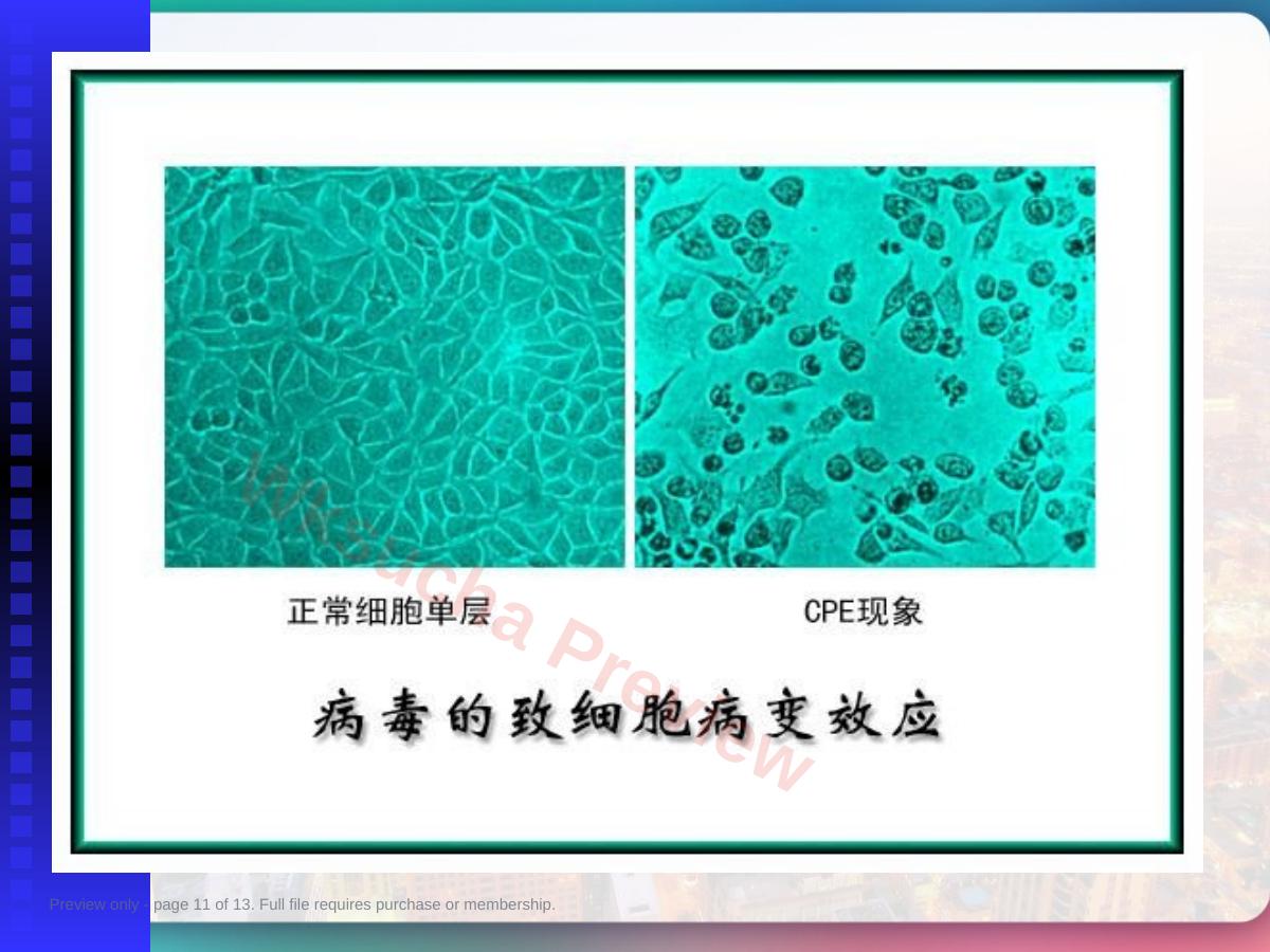 预览第 11 页