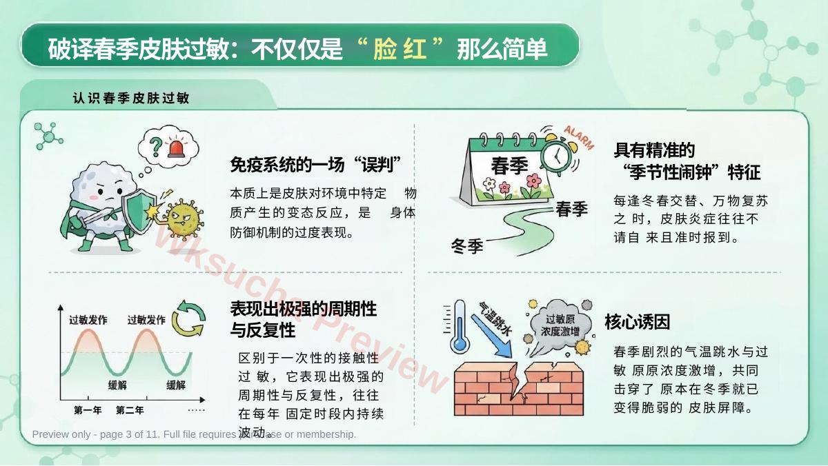 预览第 3 页