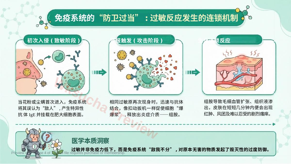 预览第 4 页