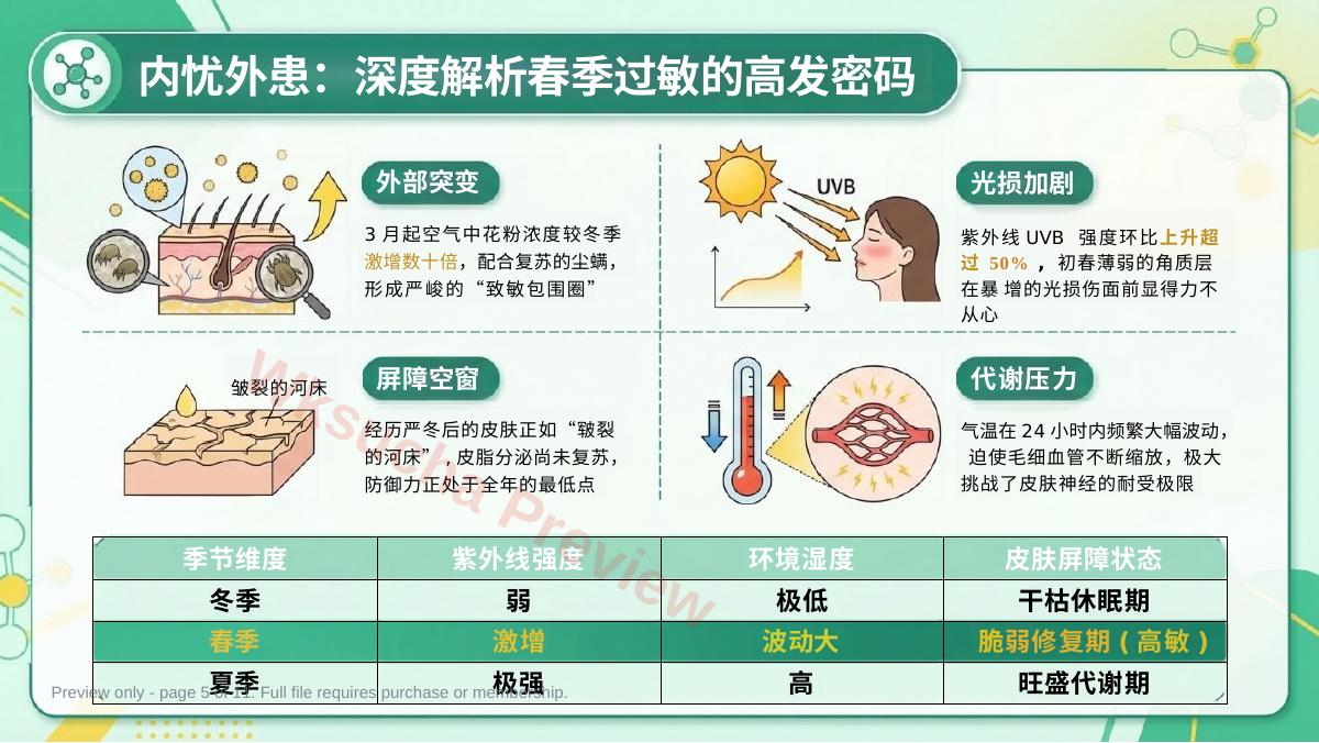 预览第 5 页