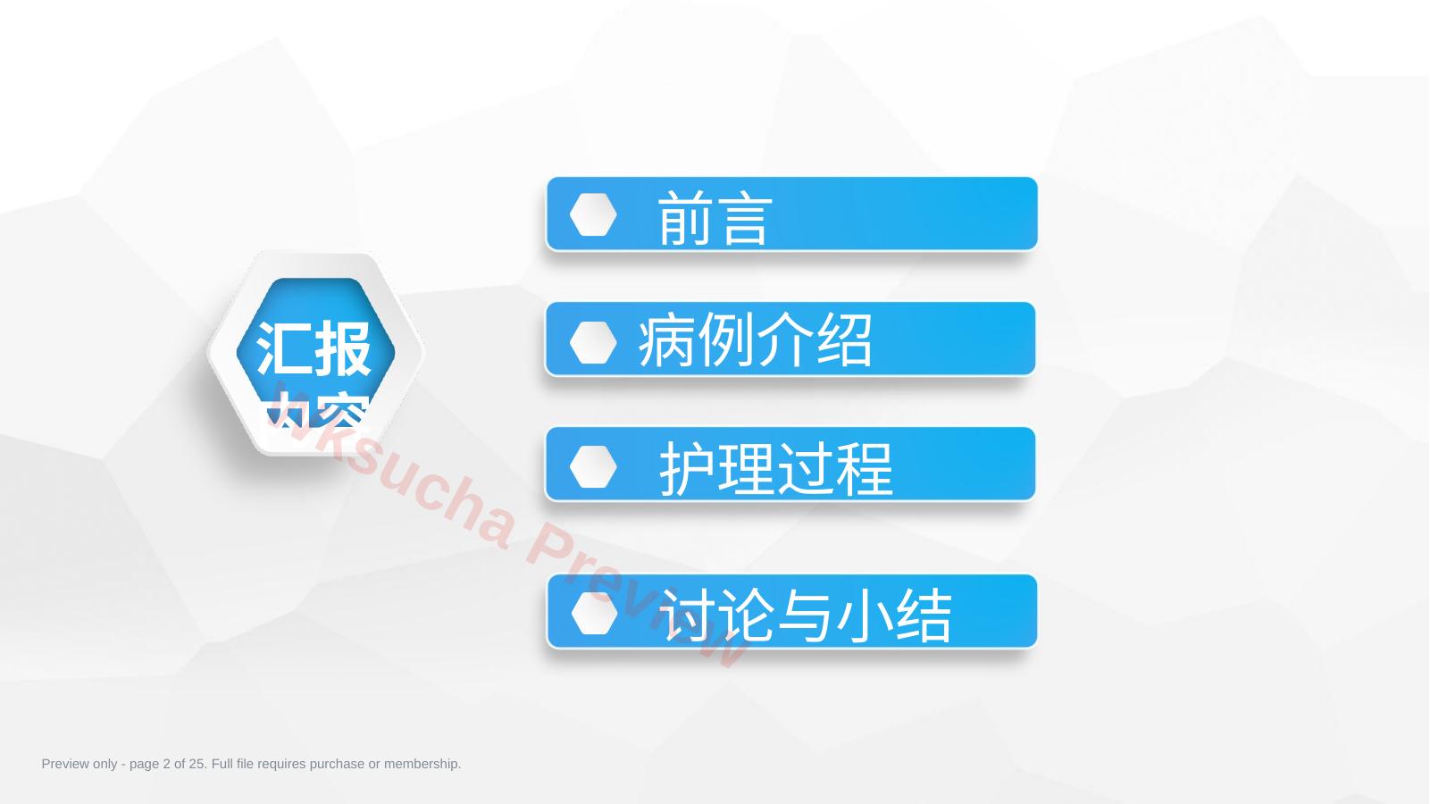预览第 2 页