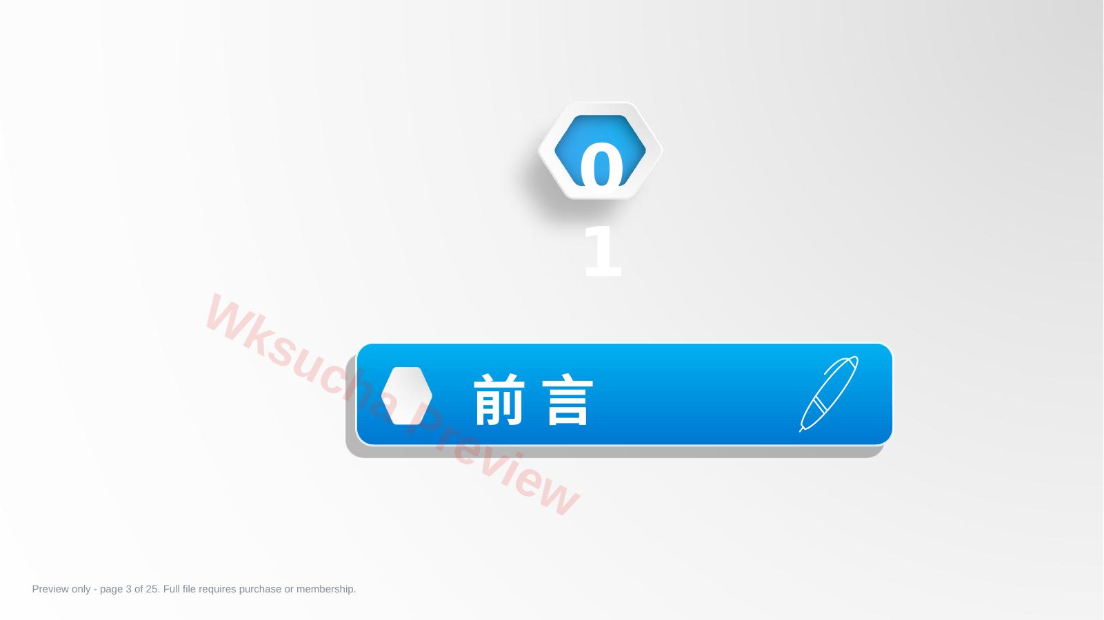 预览第 3 页