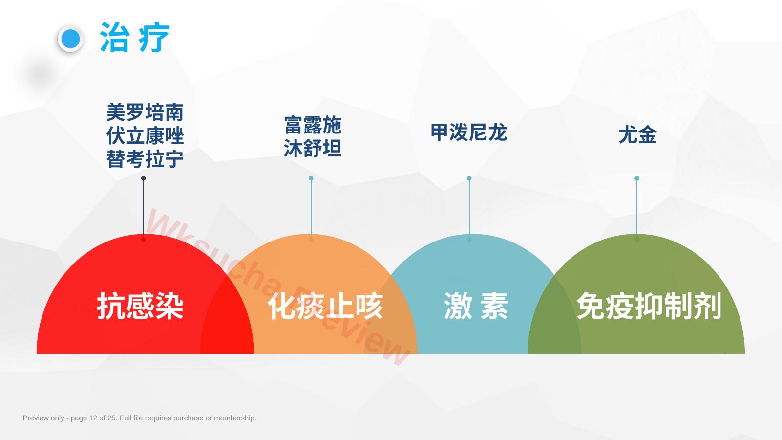 预览第 12 页