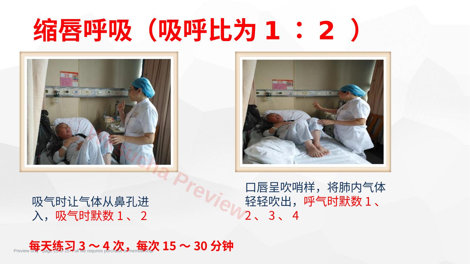 预览第 25 页