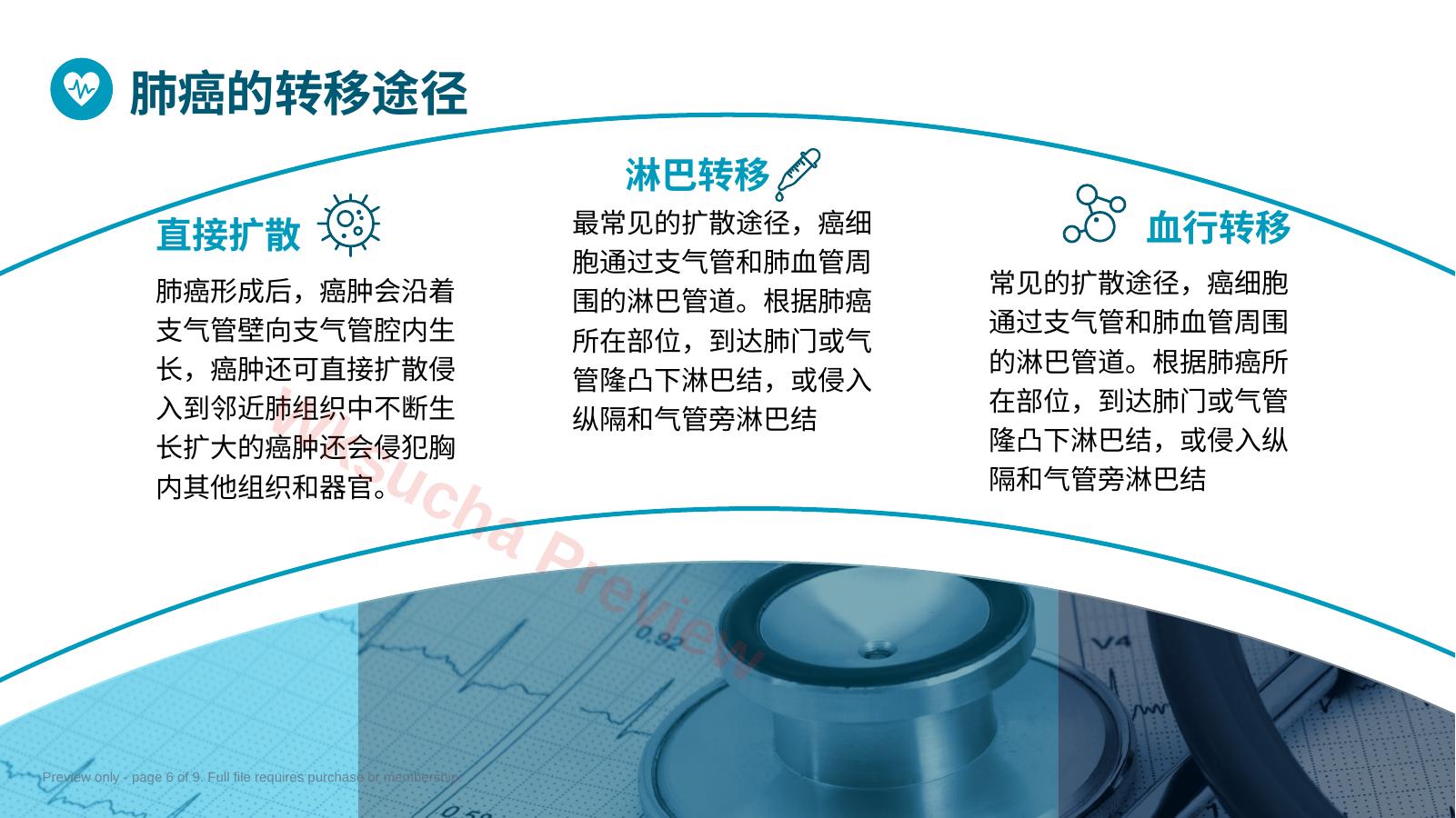 预览第 6 页